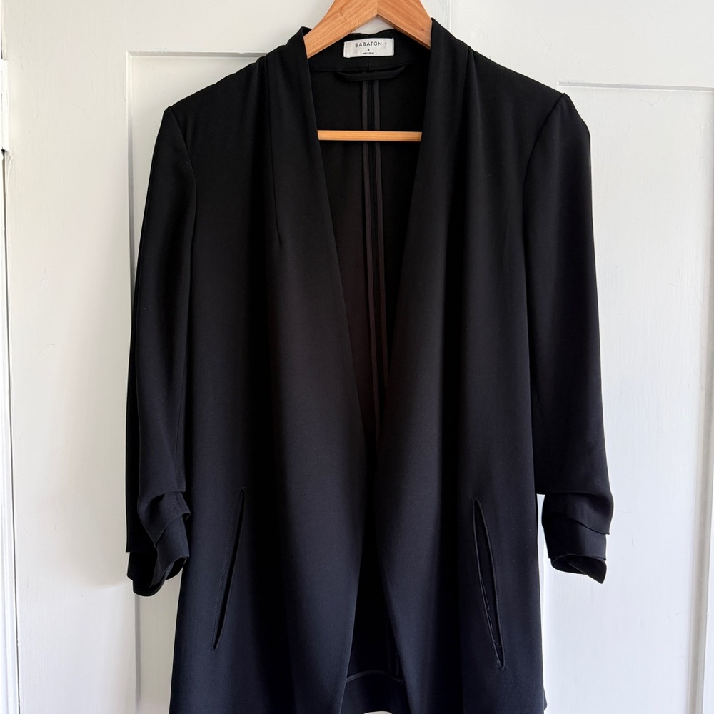 Aritzia Babaton Power Blazer